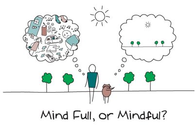 mindfulness LLN, pleine conscience louvain la neuve, méditation douleur et mouvement corps esprit